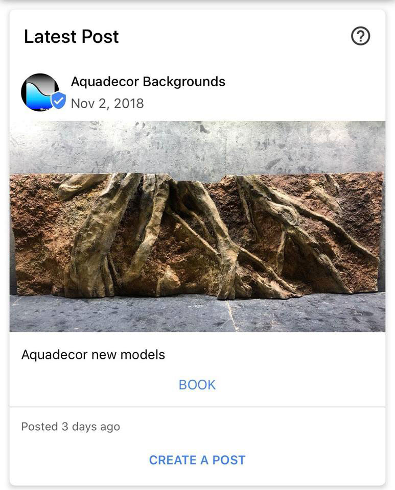 Google my business booking